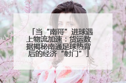 当“南哥”进球遇上物流加速：货运数据揭秘南通足球热背后的经济“射门”