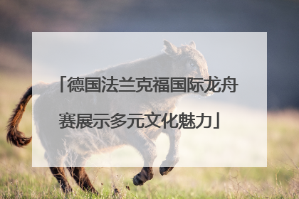 德国法兰克福国际龙舟赛展示多元文化魅力