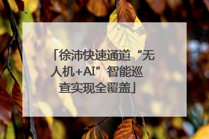 徐沛快速通道“无人机+AI”智能巡查实现全覆盖