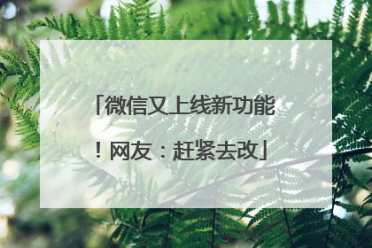 微信又上线新功能！网友：赶紧去改