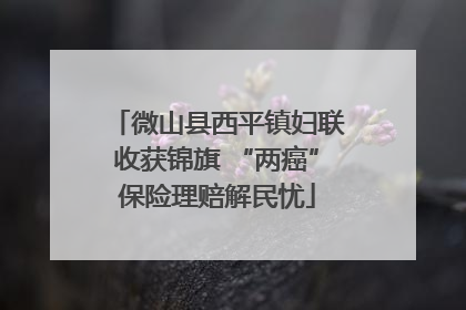 微山县西平镇妇联收获锦旗 “两癌”保险理赔解民忧