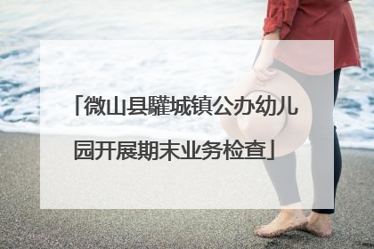 微山县驩城镇公办幼儿园开展期末业务检查