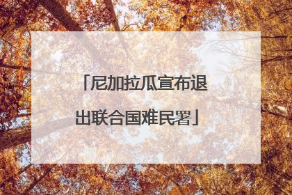 尼加拉瓜宣布退出联合国难民署