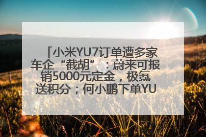 小米YU7订单遭多家车企“截胡”：蔚来可报销5000元定金，极氪送积分；何小鹏下单YU7，喊话雷军早点交付