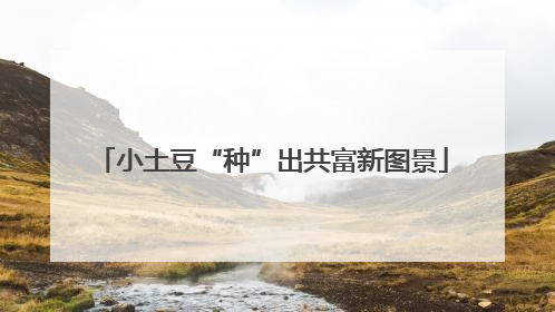 小土豆“种”出共富新图景