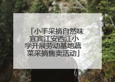 小手采摘自然味 宜宾江安西江小学开展劳动基地蔬菜采摘售卖活动