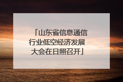 山东省信息通信行业低空经济发展大会在日照召开