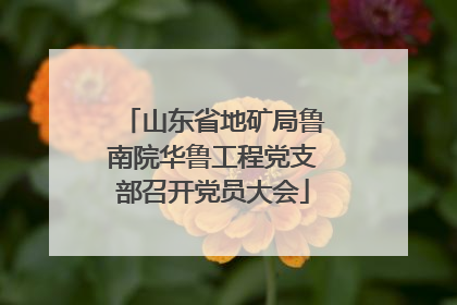 山东省地矿局鲁南院华鲁工程党支部召开党员大会