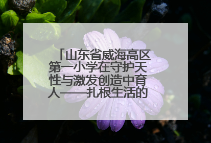 山东省威海高区第一小学在守护天性与激发创造中育人——扎根生活的科学教育更有效