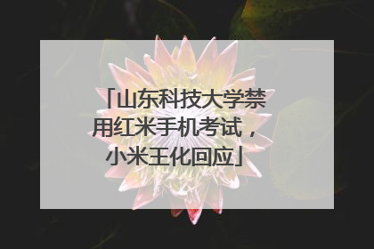 山东科技大学禁用红米手机考试，小米王化回应