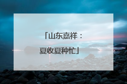 山东嘉祥：夏收夏种忙