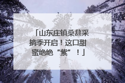 山东庄镇桑葚采摘季开启！这口甜蜜绝绝“紫”！