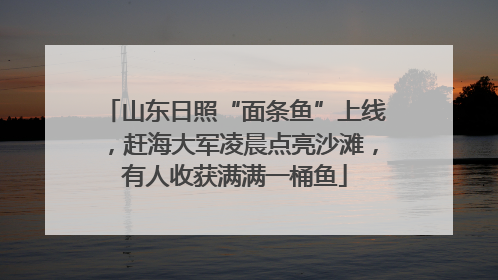 山东日照“面条鱼”上线，赶海大军凌晨点亮沙滩，有人收获满满一桶鱼