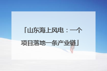 山东海上风电：一个项目落地一条产业链
