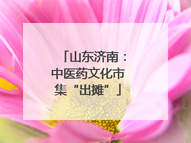 山东济南：中医药文化市集“出摊”
