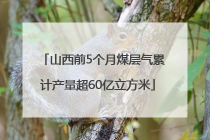 山西前5个月煤层气累计产量超60亿立方米