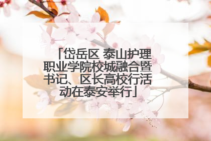 岱岳区 泰山护理职业学院校城融合暨书记、区长高校行活动在泰安举行