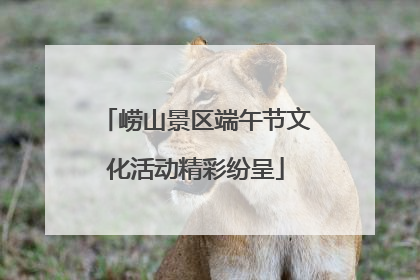 崂山景区端午节文化活动精彩纷呈