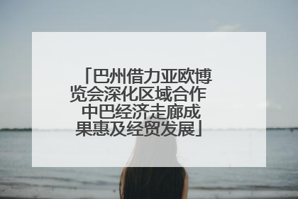巴州借力亚欧博览会深化区域合作 中巴经济走廊成果惠及经贸发展