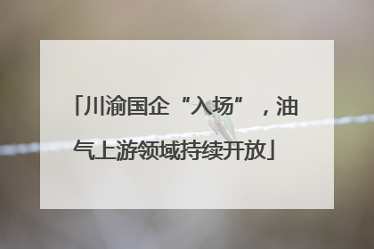 川渝国企“入场”，油气上游领域持续开放