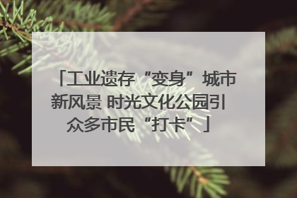 工业遗存“变身”城市新风景 时光文化公园引众多市民“打卡”