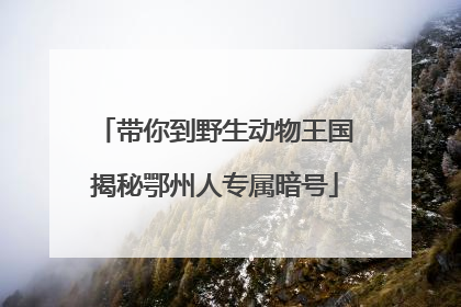 带你到野生动物王国揭秘鄂州人专属暗号