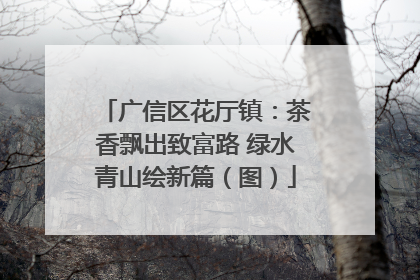广信区花厅镇：茶香飘出致富路 绿水青山绘新篇（图）