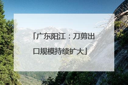 广东阳江：刀剪出口规模持续扩大