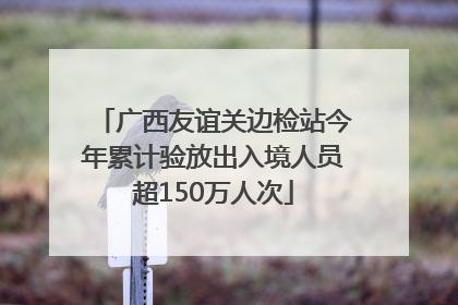 广西友谊关边检站今年累计验放出入境人员超150万人次