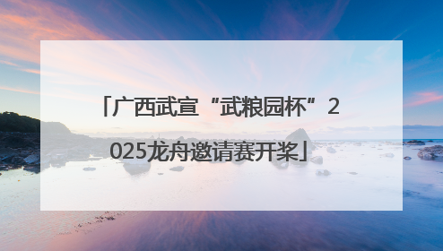 广西武宣“武粮园杯”2025龙舟邀请赛开桨