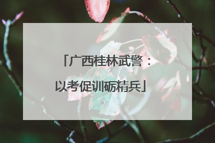 广西桂林武警：以考促训砺精兵