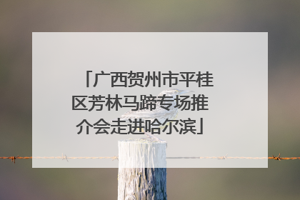 广西贺州市平桂区芳林马蹄专场推介会走进哈尔滨