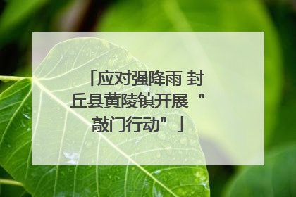 应对强降雨 封丘县黄陵镇开展“敲门行动”
