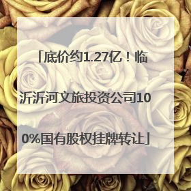 底价约1.27亿！临沂沂河文旅投资公司100%国有股权挂牌转让
