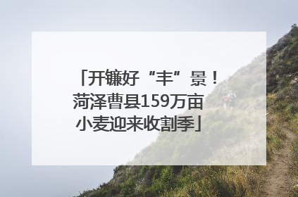 开镰好“丰”景！菏泽曹县159万亩小麦迎来收割季