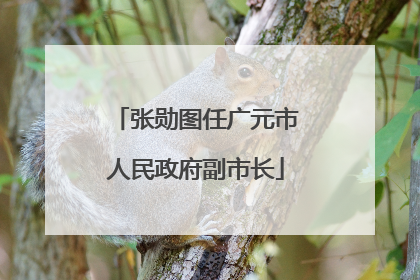 张勋图任广元市人民政府副市长