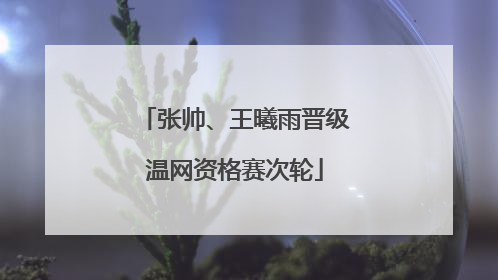张帅、王曦雨晋级温网资格赛次轮