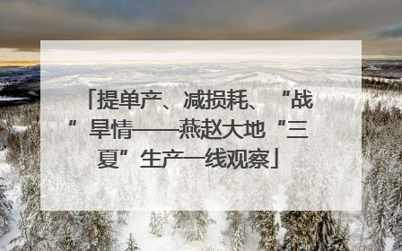提单产、减损耗、“战”旱情——燕赵大地“三夏”生产一线观察