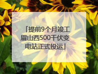 提前9个月竣工 眉山西500千伏变电站正式投运