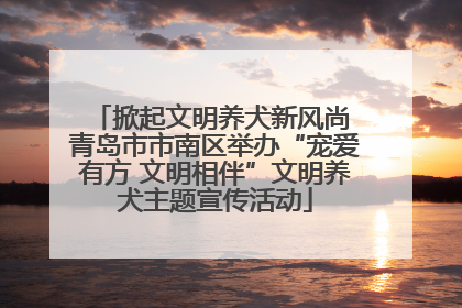掀起文明养犬新风尚 青岛市市南区举办“宠爱有方 文明相伴”文明养犬主题宣传活动