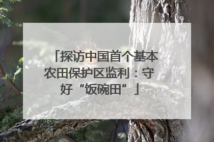 探访中国首个基本农田保护区监利：守好“饭碗田”