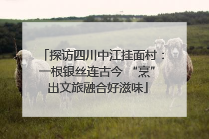 探访四川中江挂面村：一根银丝连古今 “烹”出文旅融合好滋味