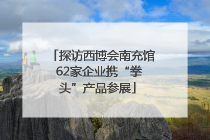 探访西博会南充馆 62家企业携“拳头”产品参展