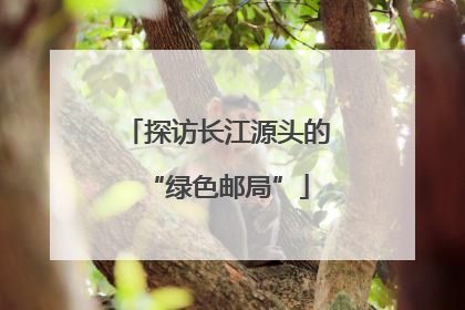 探访长江源头的“绿色邮局”