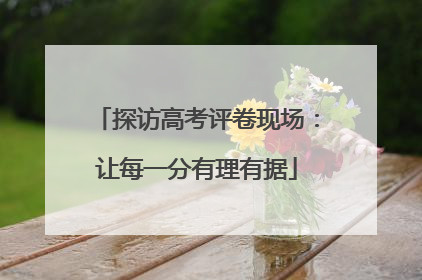 探访高考评卷现场：让每一分有理有据
