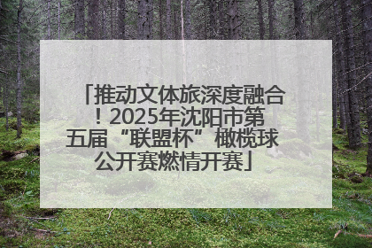 推动文体旅深度融合！2025年沈阳市第五届“联盟杯”橄榄球公开赛燃情开赛