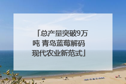 总产量突破9万吨 青岛蓝莓解码现代农业新范式