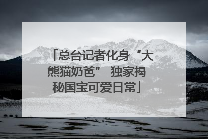 总台记者化身“大熊猫奶爸” 独家揭秘国宝可爱日常