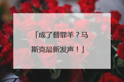 成了替罪羊？马斯克最新发声！