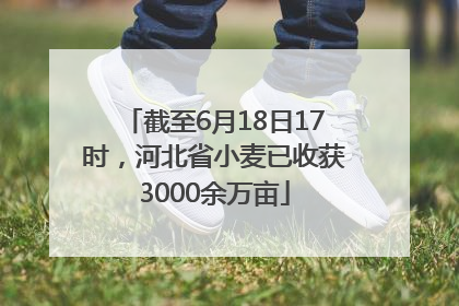 截至6月18日17时，河北省小麦已收获3000余万亩